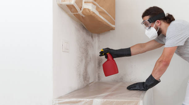 Professional Crawl Space Mold Remediation technician working in Darien, IL