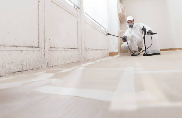 24/7 Emergency Crawl Space Mold Remediation experts in Darien, IL