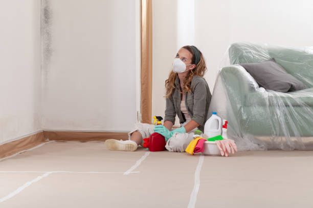 Reliable Crawl Space Mold Remediation contractor in Darien, IL by Car Mold Remediation