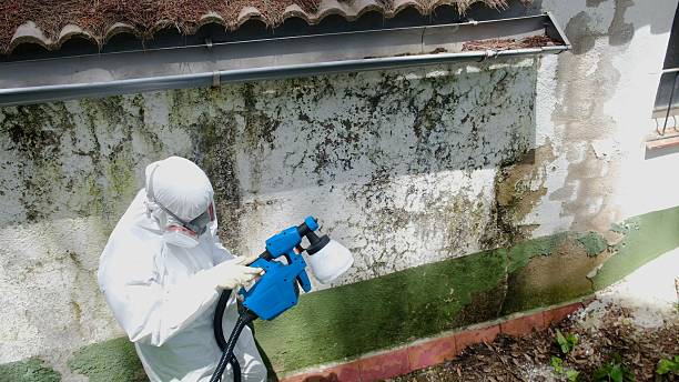 Top rated local Crawl Space Mold Remediation specialists in Darien, IL
